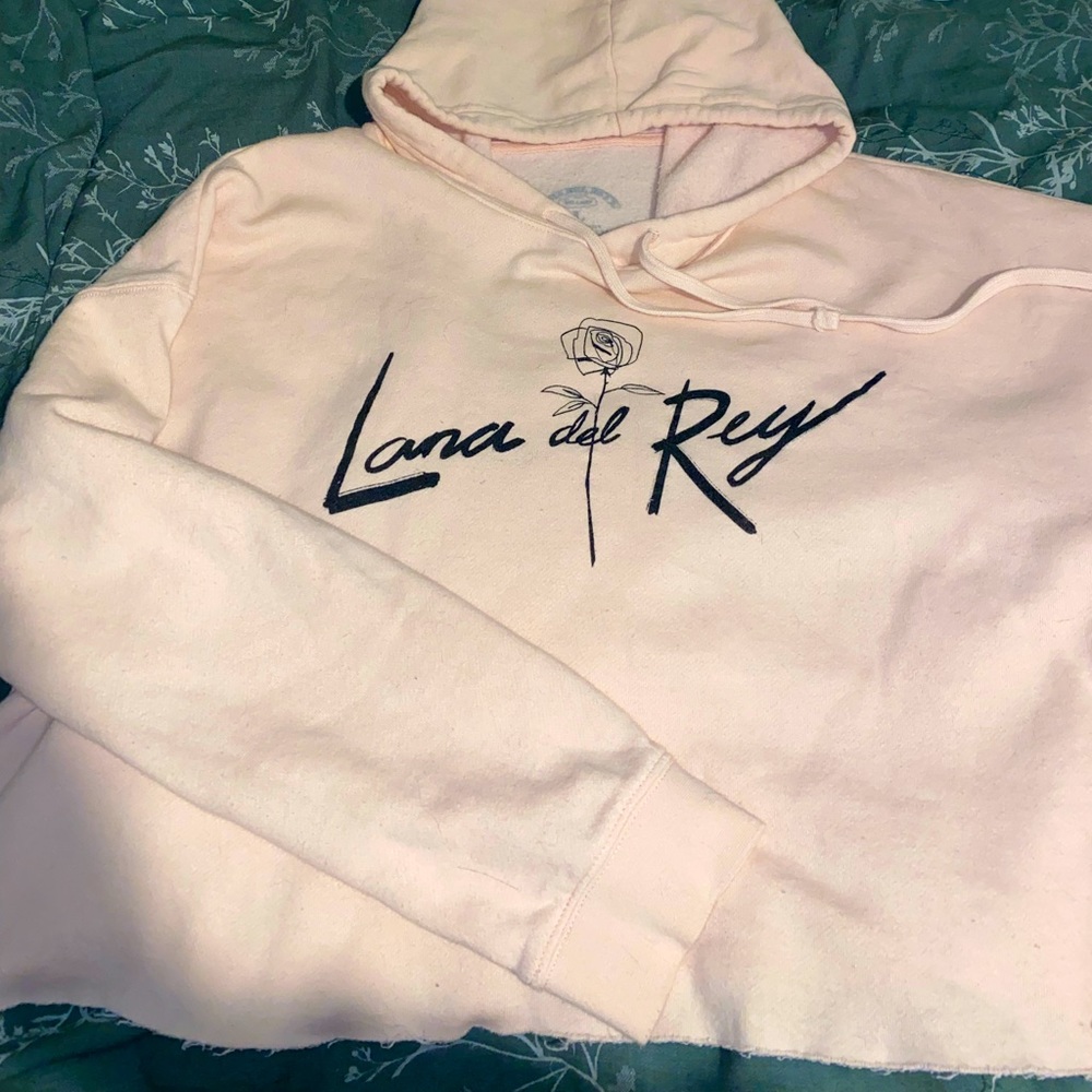 Light pink cropped Lana del Rey LDR sweatshirt hoodie